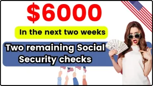 Two remaining Social Security checks of $6,000 in the next two weeks - Check Eligibility